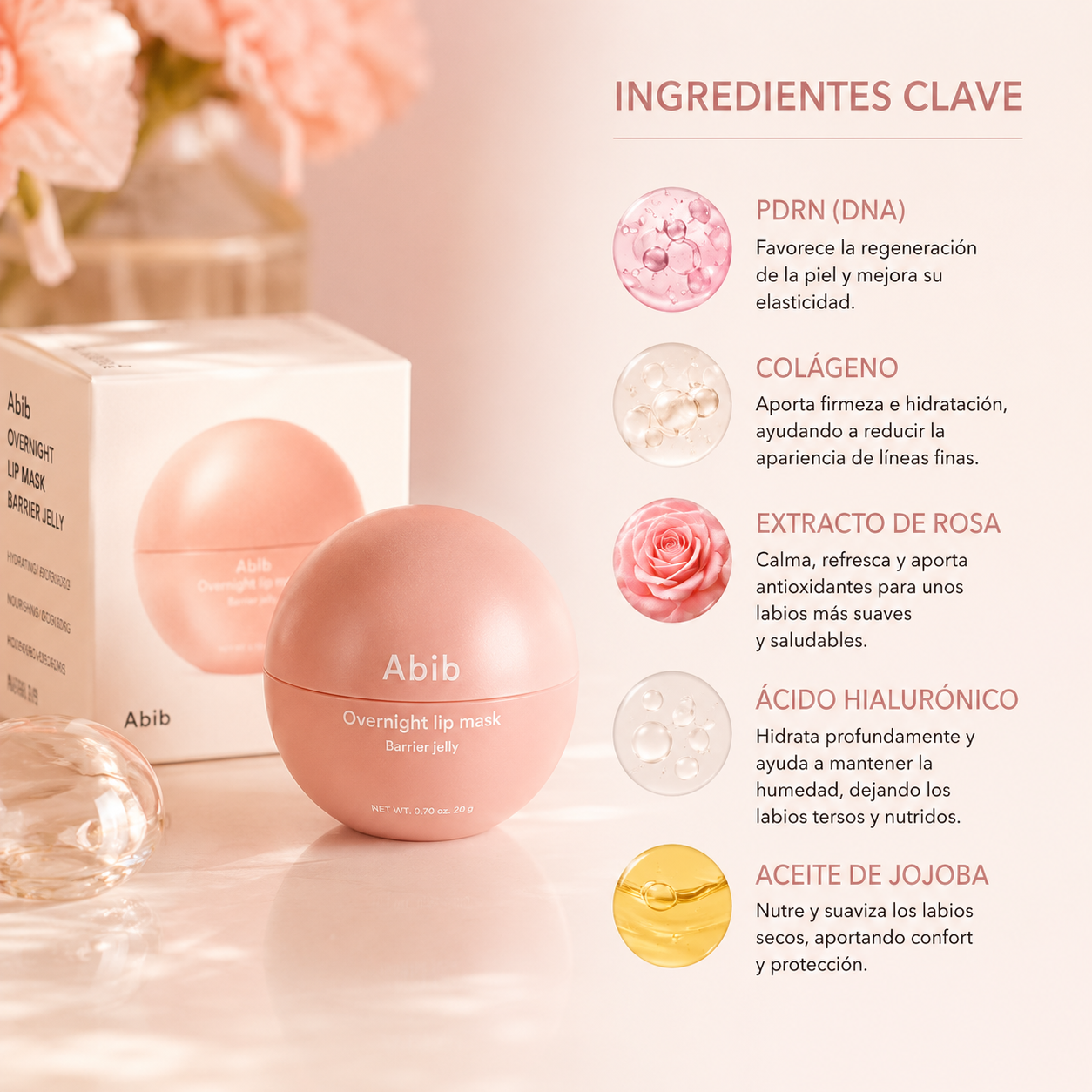 Mascarilla Labial Abib Overnight Lip Mask Barrier Jelly | Hidratación Intensiva para Labios Suaves y Reparados